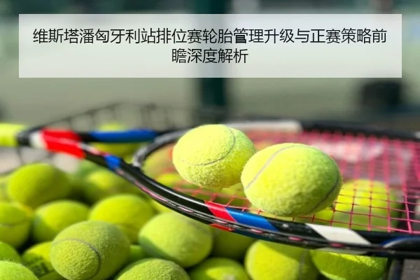 维斯塔潘匈牙利站排位赛轮胎管理升级与正赛策略前瞻深度解析
