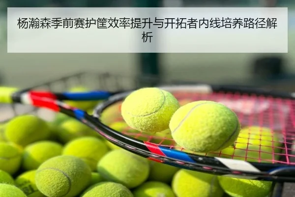 杨瀚森季前赛护筐效率提升与开拓者内线培养路径解析